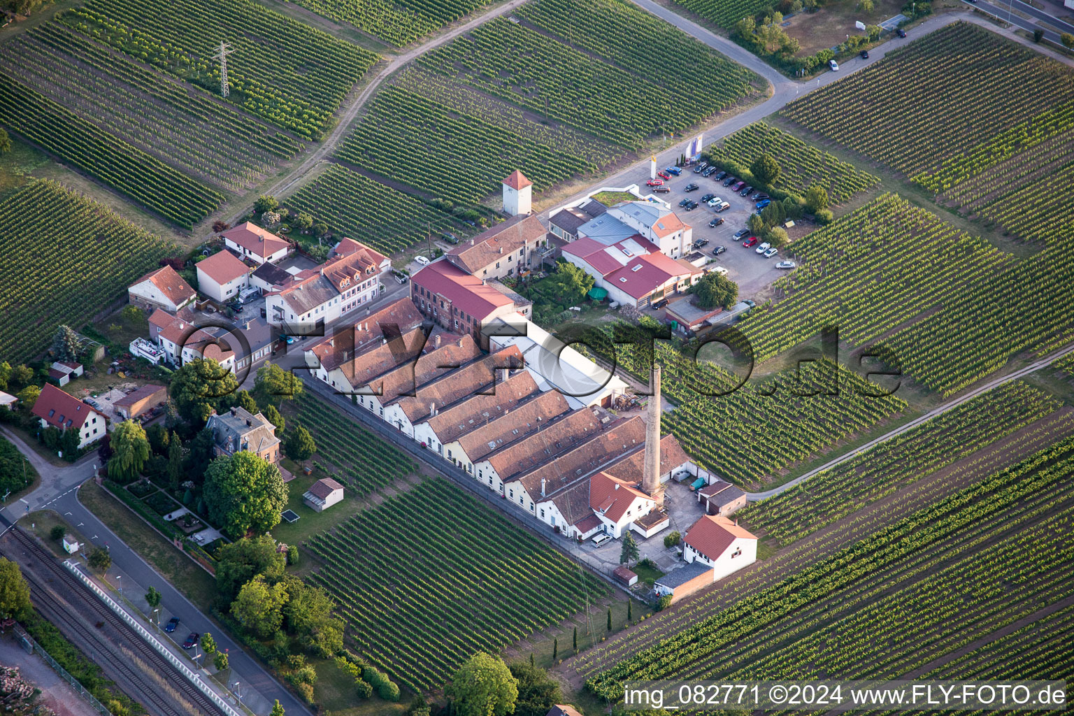 Fields of wine cultivation landscape in the district Bordmuehle in Kirrweiler (Pfalz) in the state Rhineland-Palatinate, Germany