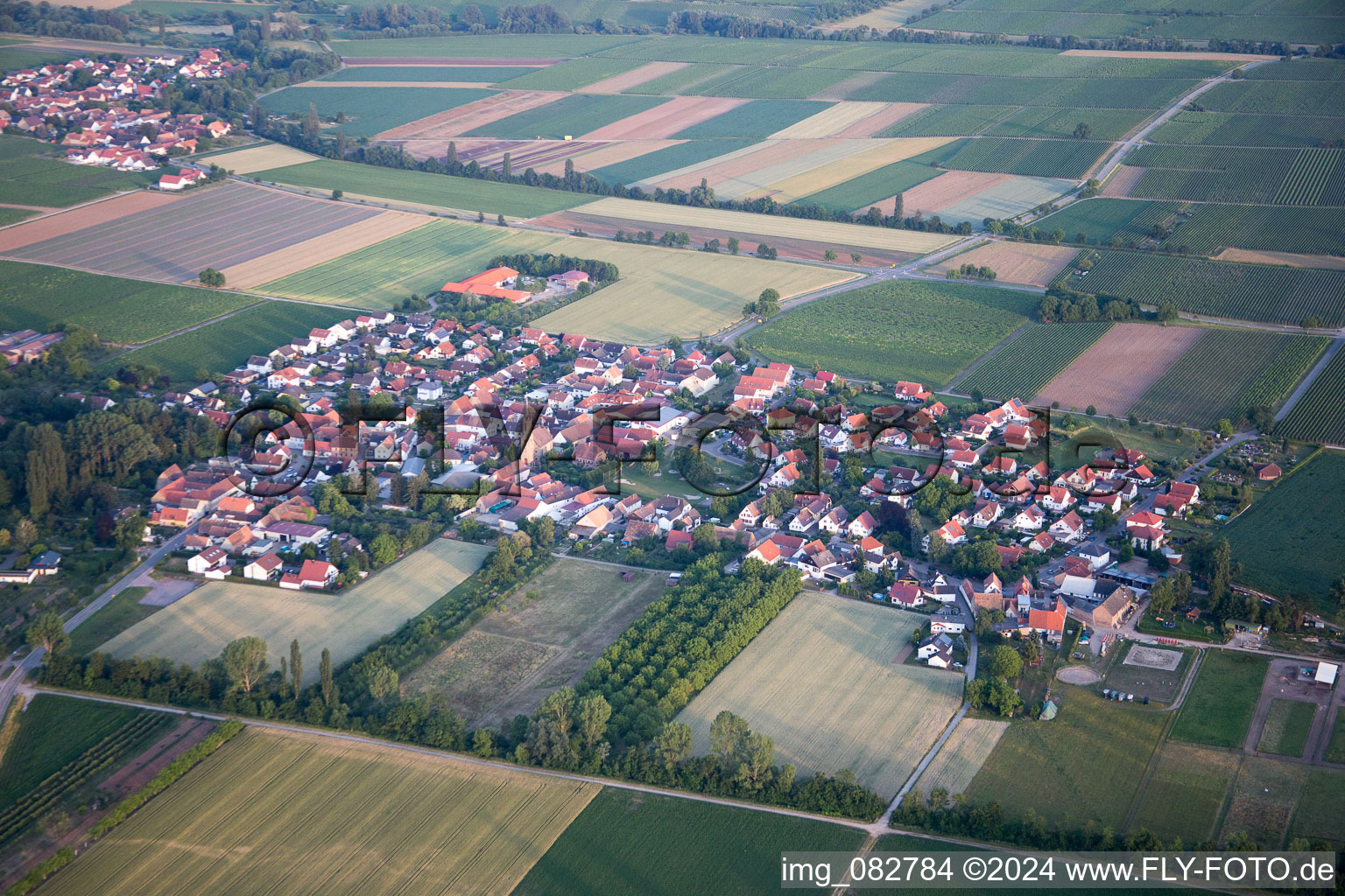 Großfischlingen in the state Rhineland-Palatinate, Germany out of the air