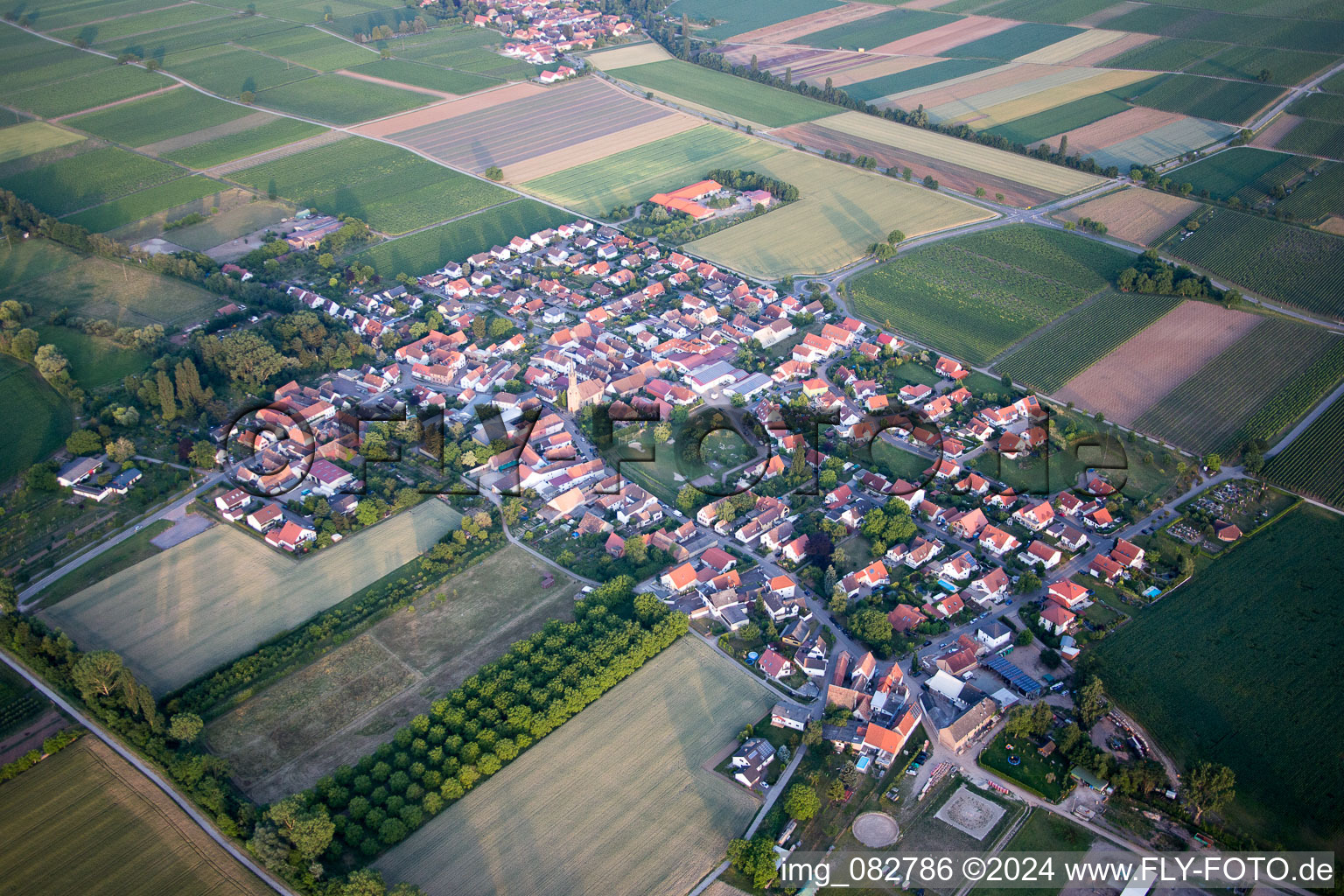 Großfischlingen in the state Rhineland-Palatinate, Germany seen from above