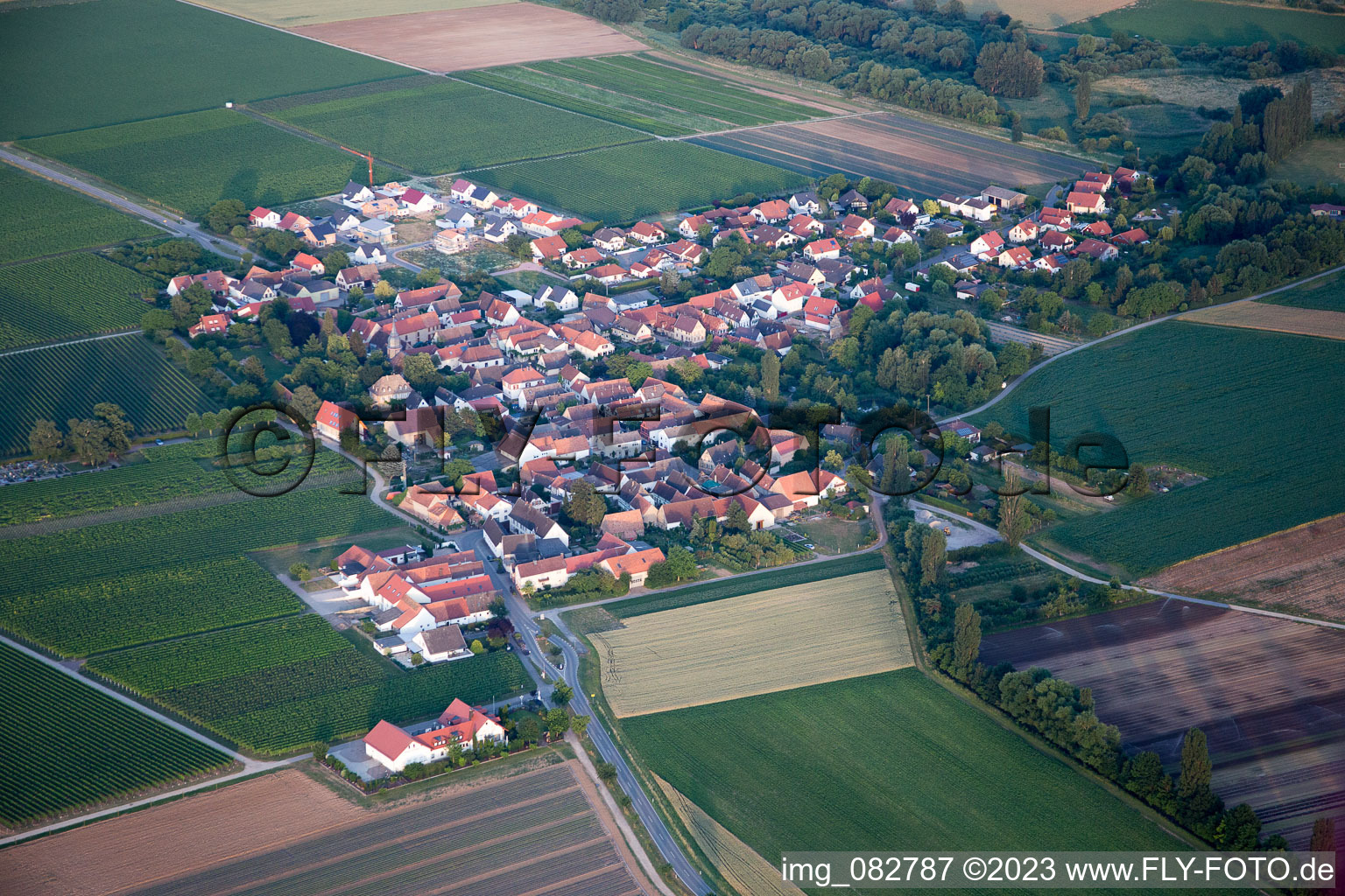 Aerial view of Kleinfischlingen in the state Rhineland-Palatinate, Germany