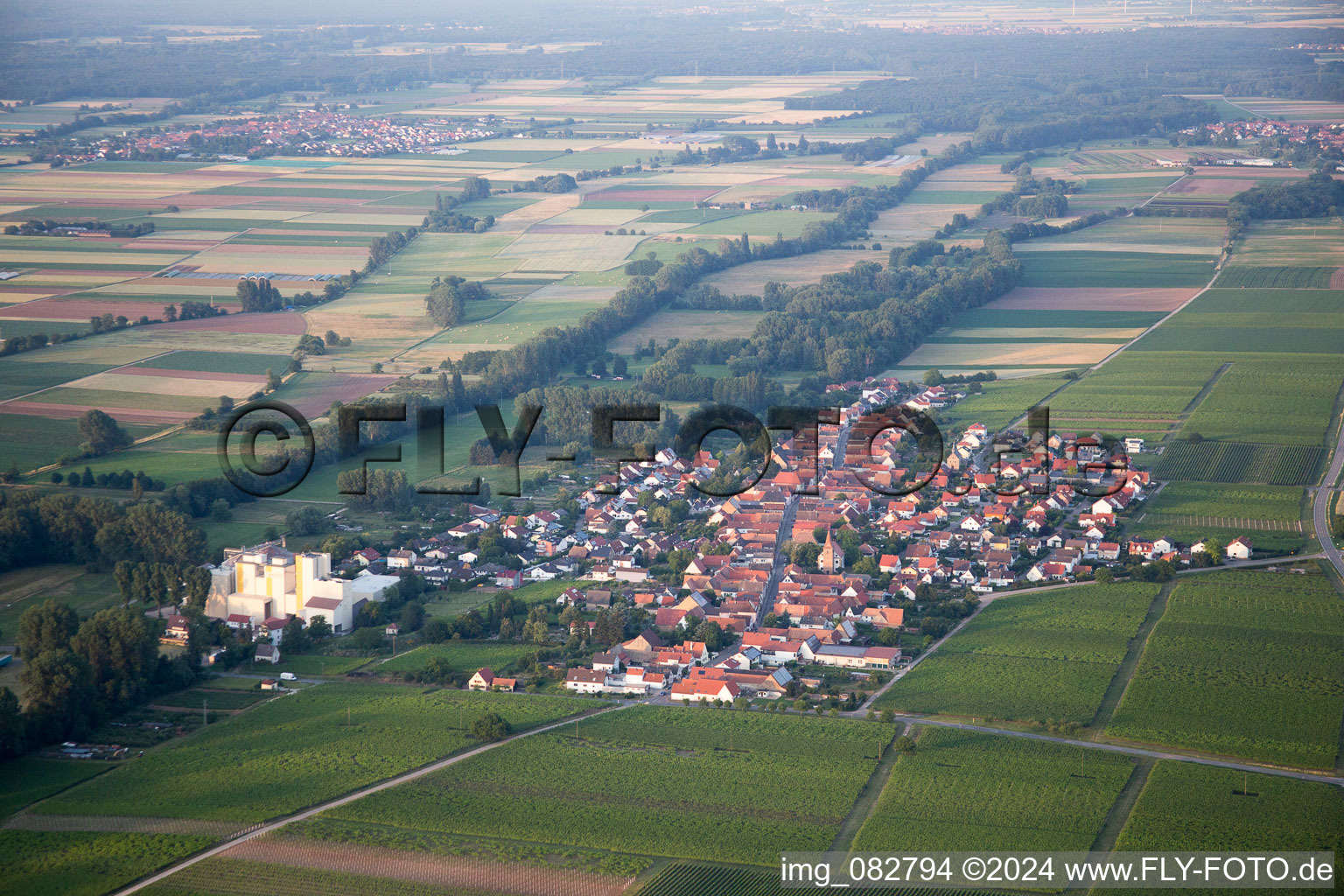 Freimersheim in the state Rhineland-Palatinate, Germany from above