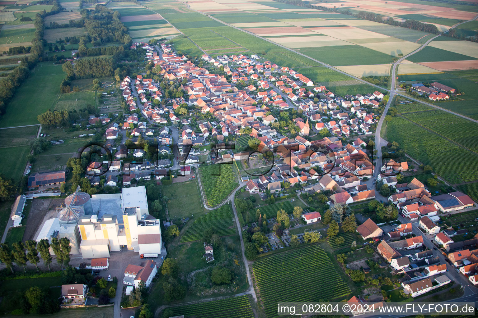 Aerial view of Flvor mill of Cornexo GmbH in Freimersheim (Pfalz) in the state Rhineland-Palatinate, Germany