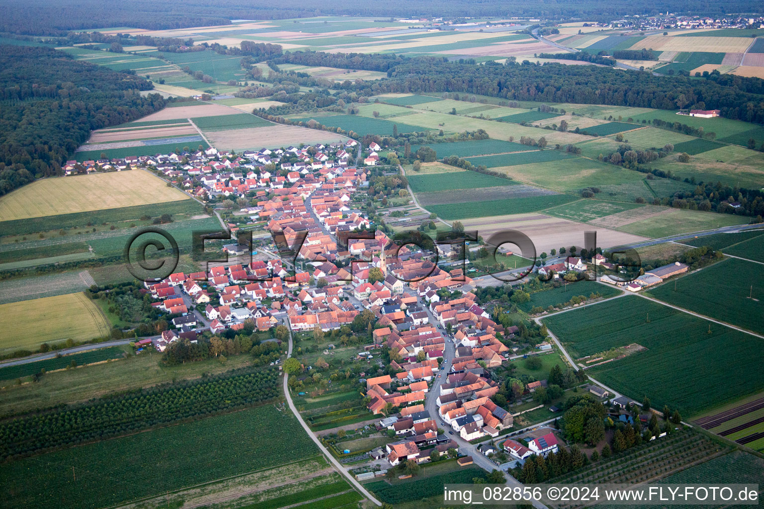 Aerial view of Erlenbach bei Kandel in the state Rhineland-Palatinate, Germany