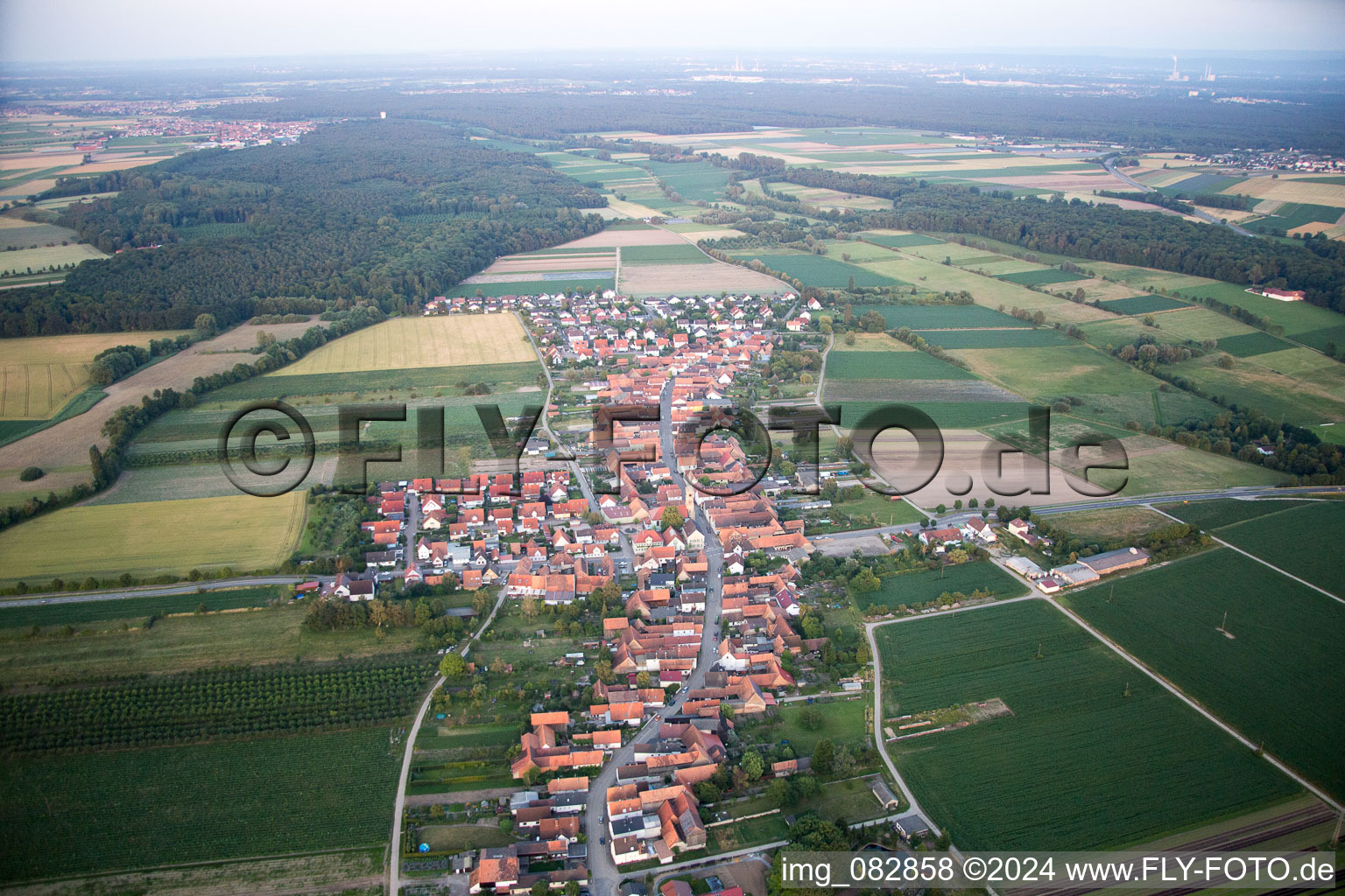 Oblique view of Erlenbach bei Kandel in the state Rhineland-Palatinate, Germany