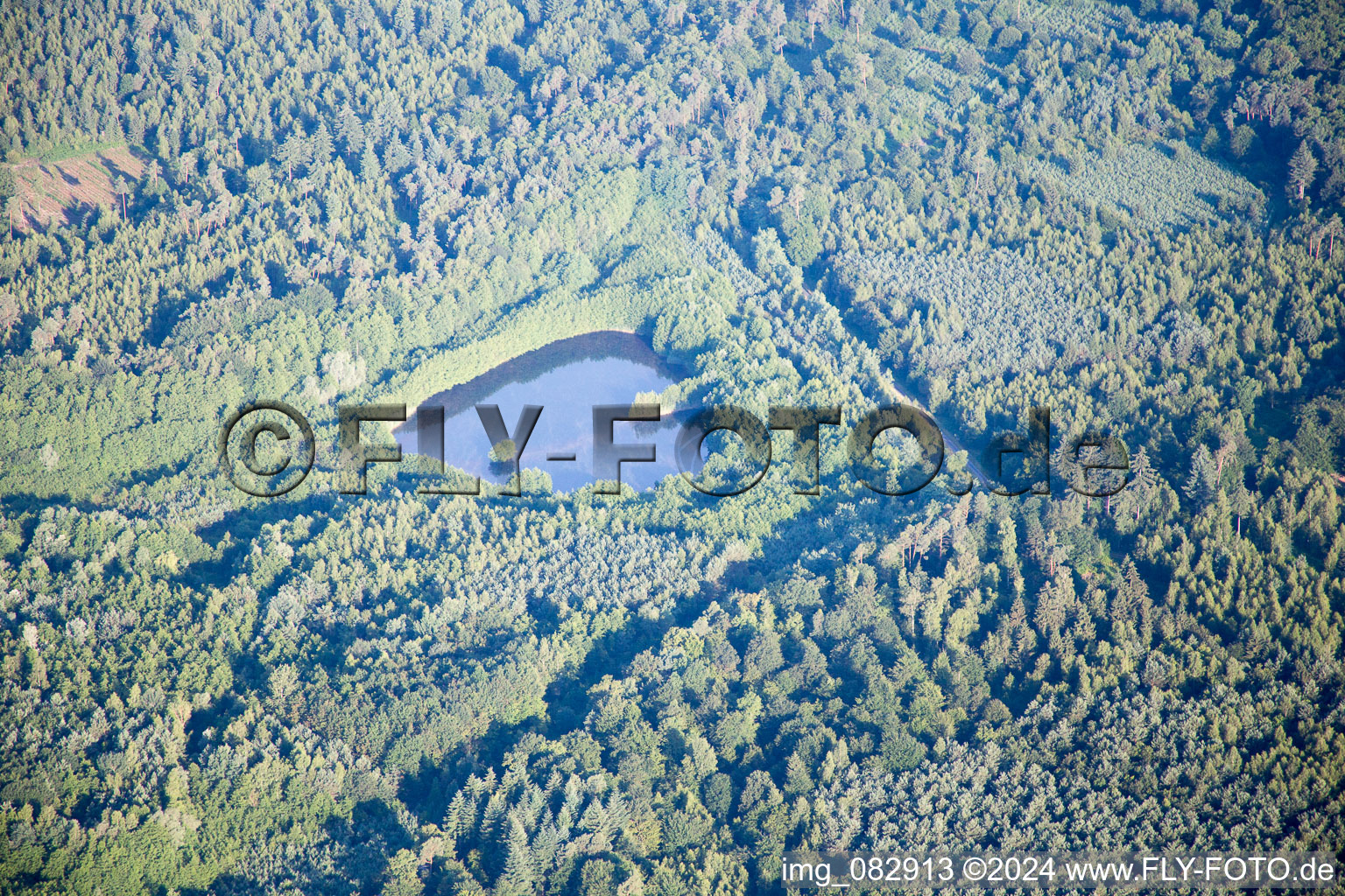 Aerial photograpy of Forstfeld in the state Bas-Rhin, France