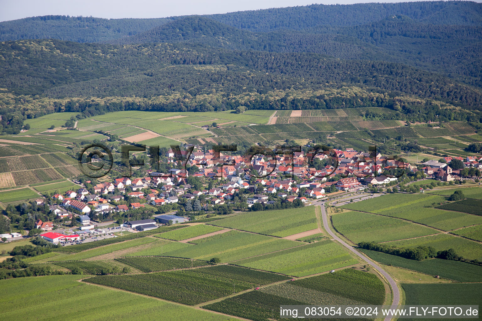 District Schweigen in Schweigen-Rechtenbach in the state Rhineland-Palatinate, Germany from above