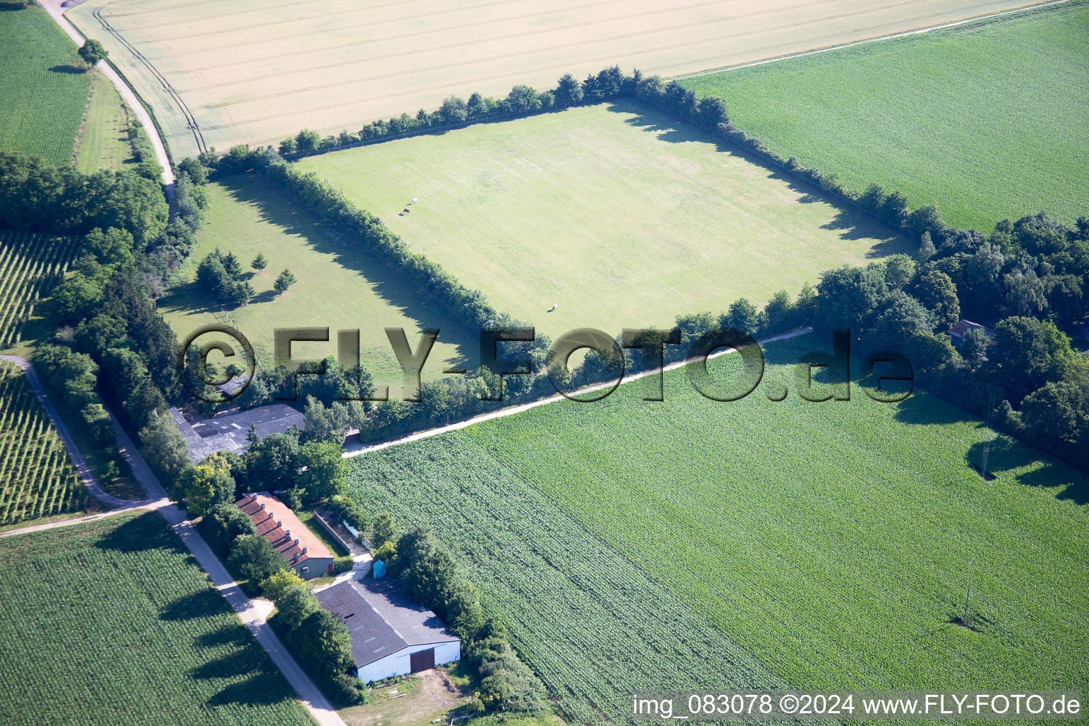 Bird's eye view of Minfeld in the state Rhineland-Palatinate, Germany