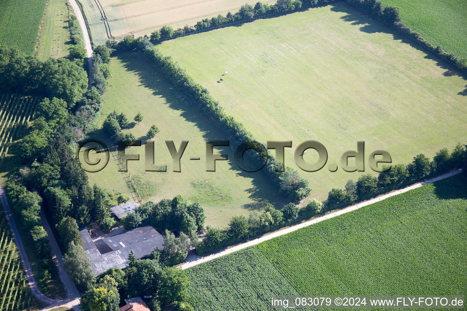 Minfeld in the state Rhineland-Palatinate, Germany viewn from the air