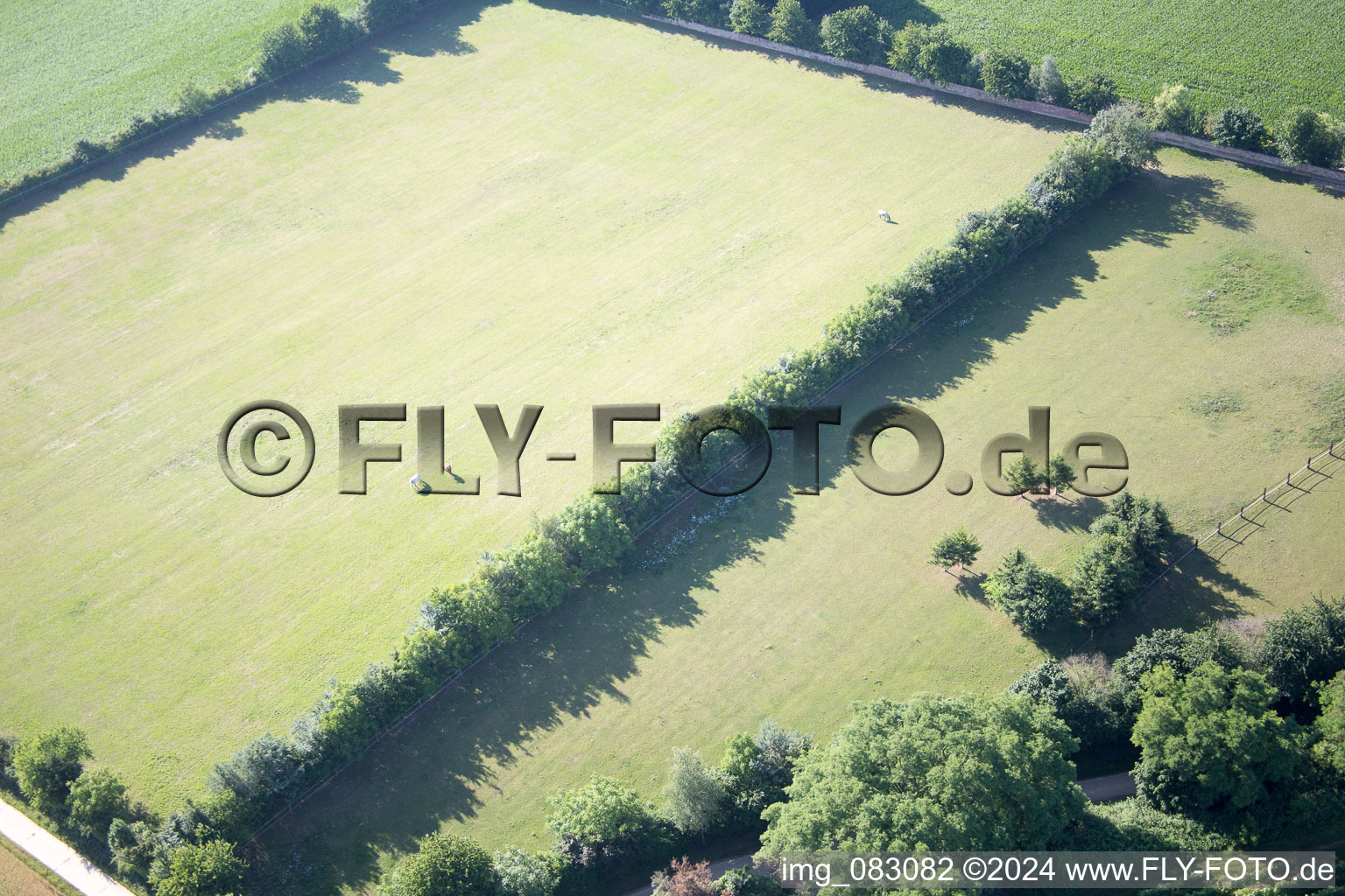 Minfeld in the state Rhineland-Palatinate, Germany from the drone perspective