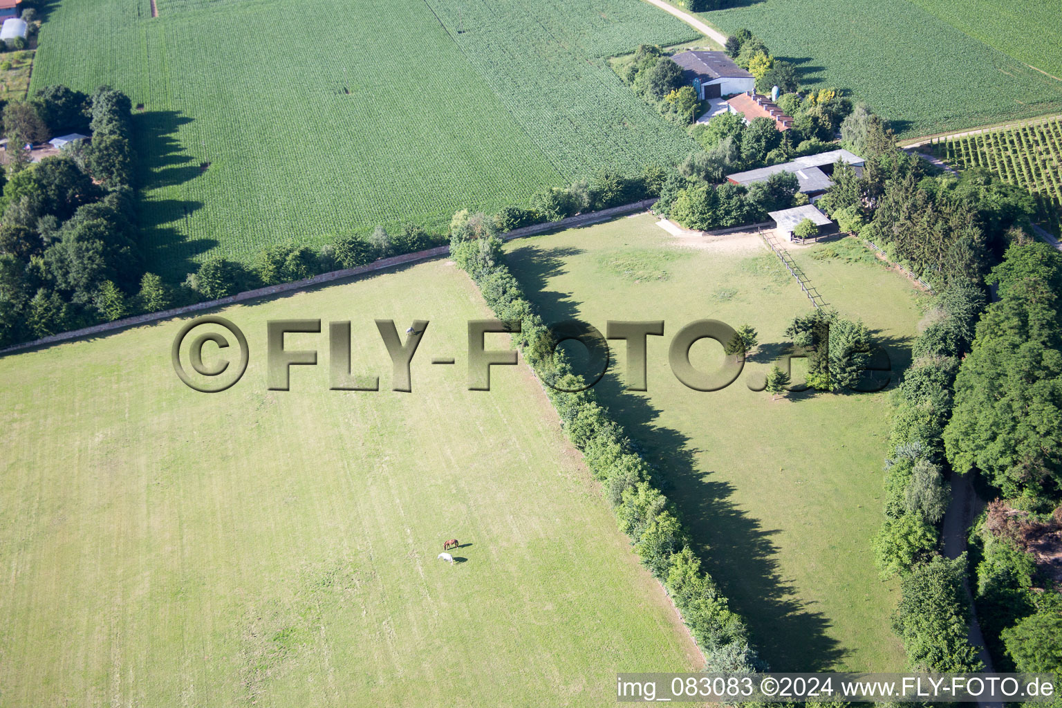 Minfeld in the state Rhineland-Palatinate, Germany from a drone