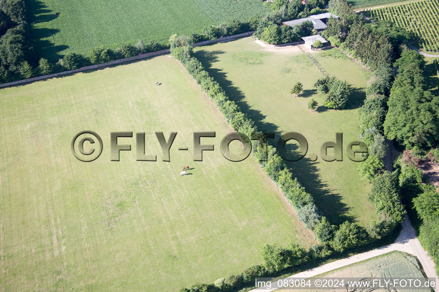 Minfeld in the state Rhineland-Palatinate, Germany seen from a drone