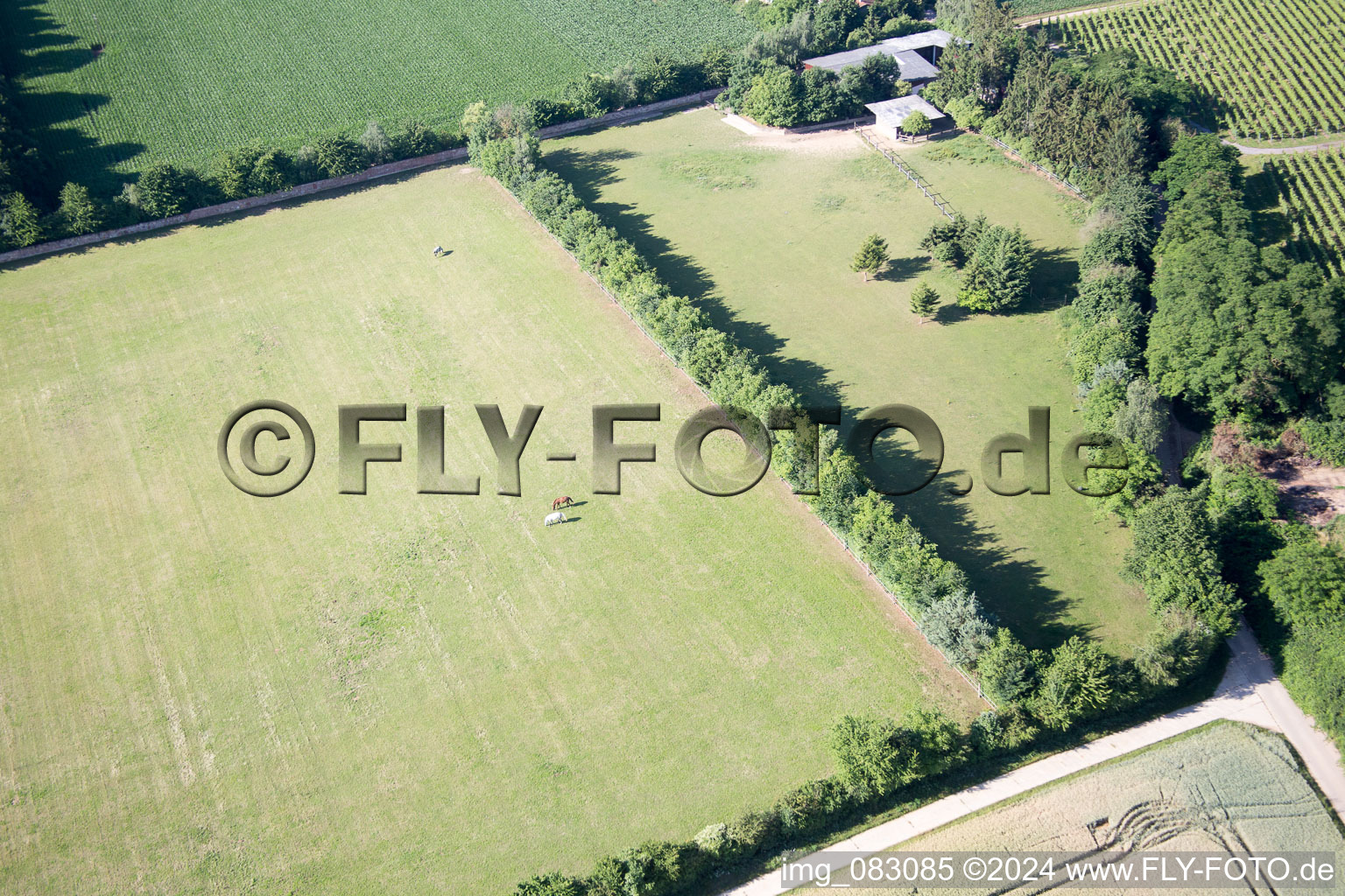 Aerial view of Minfeld in the state Rhineland-Palatinate, Germany