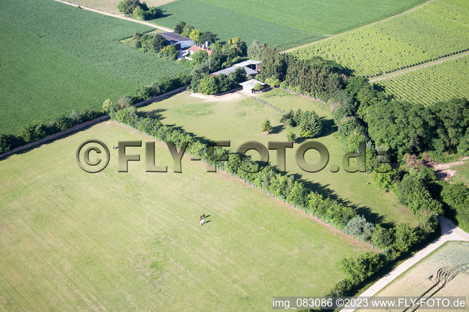 Aerial photograpy of Minfeld in the state Rhineland-Palatinate, Germany