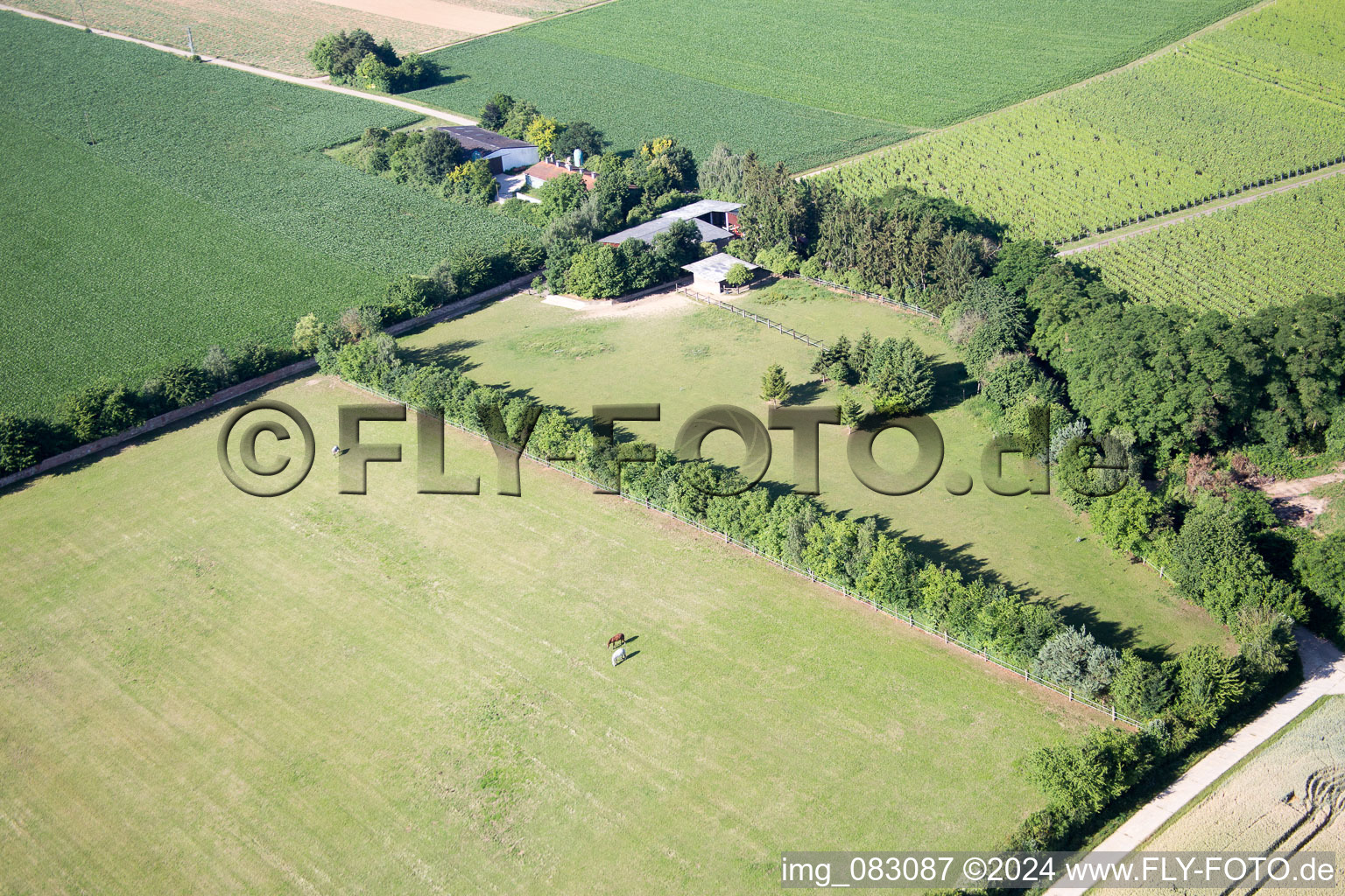 Oblique view of Minfeld in the state Rhineland-Palatinate, Germany