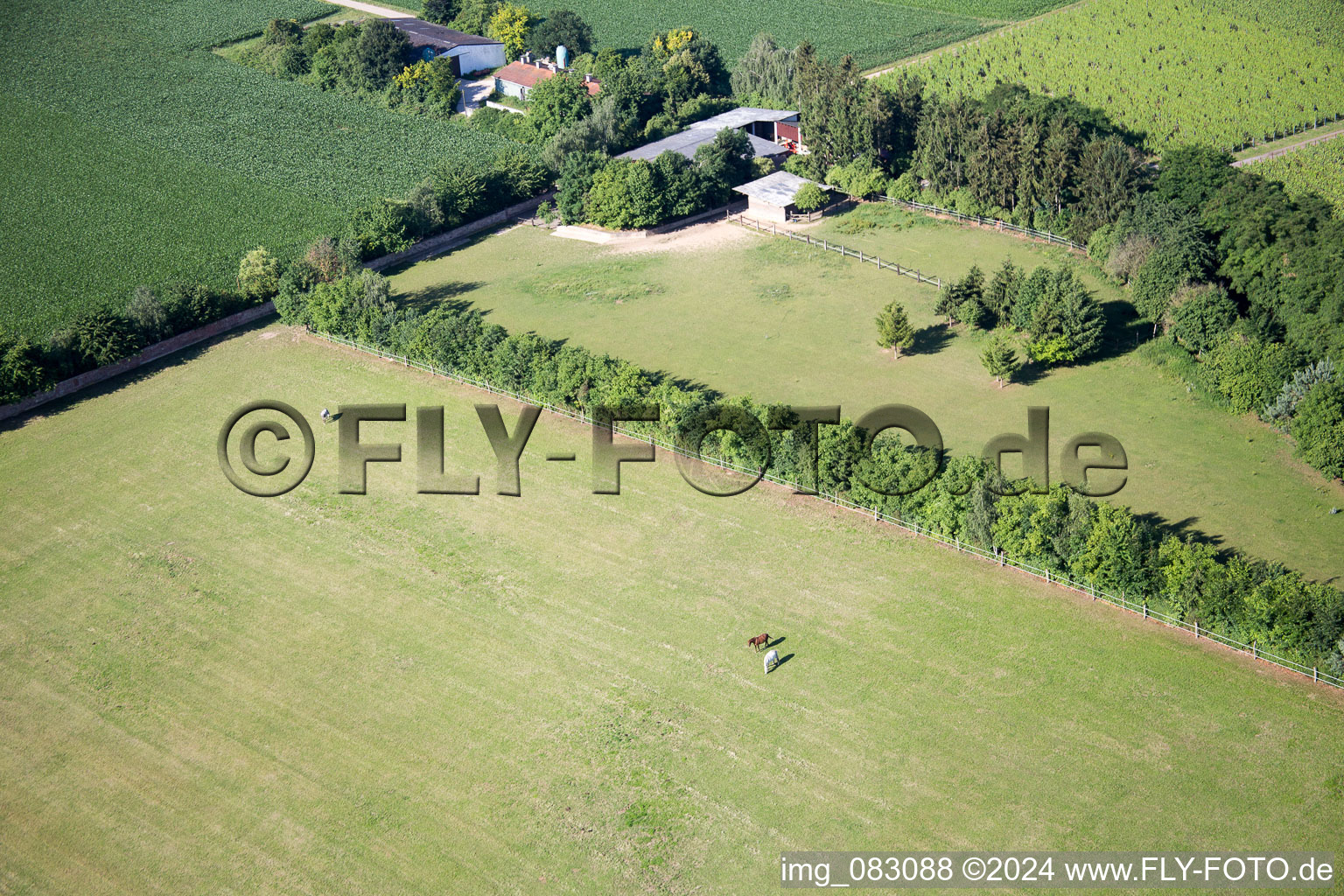 Minfeld in the state Rhineland-Palatinate, Germany from above