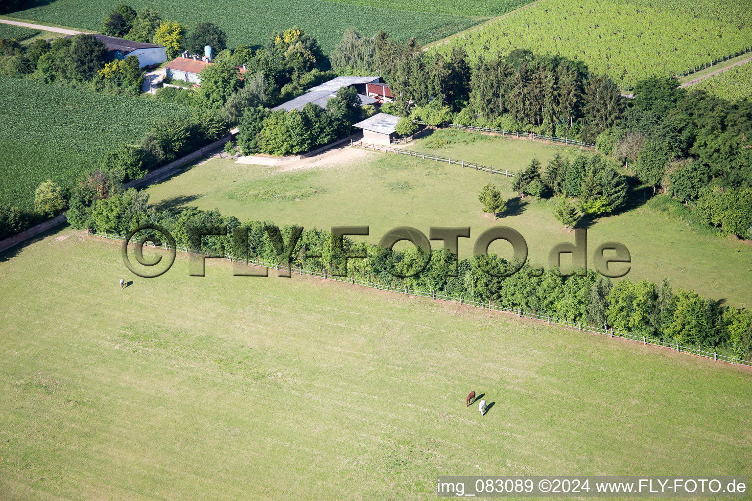 Minfeld in the state Rhineland-Palatinate, Germany out of the air