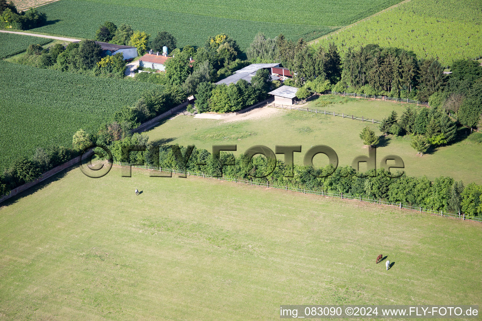 Minfeld in the state Rhineland-Palatinate, Germany seen from above