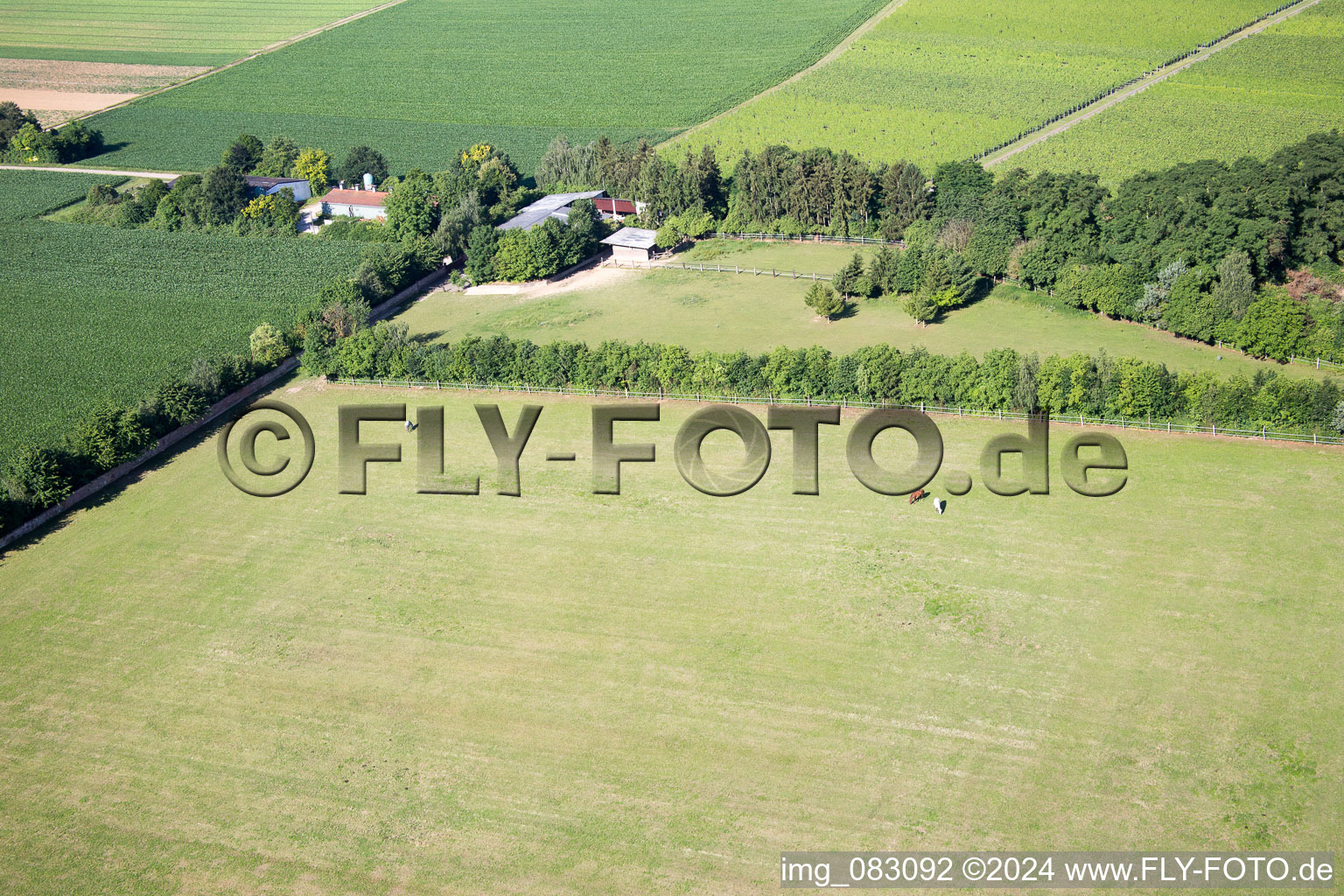 Minfeld in the state Rhineland-Palatinate, Germany from the plane