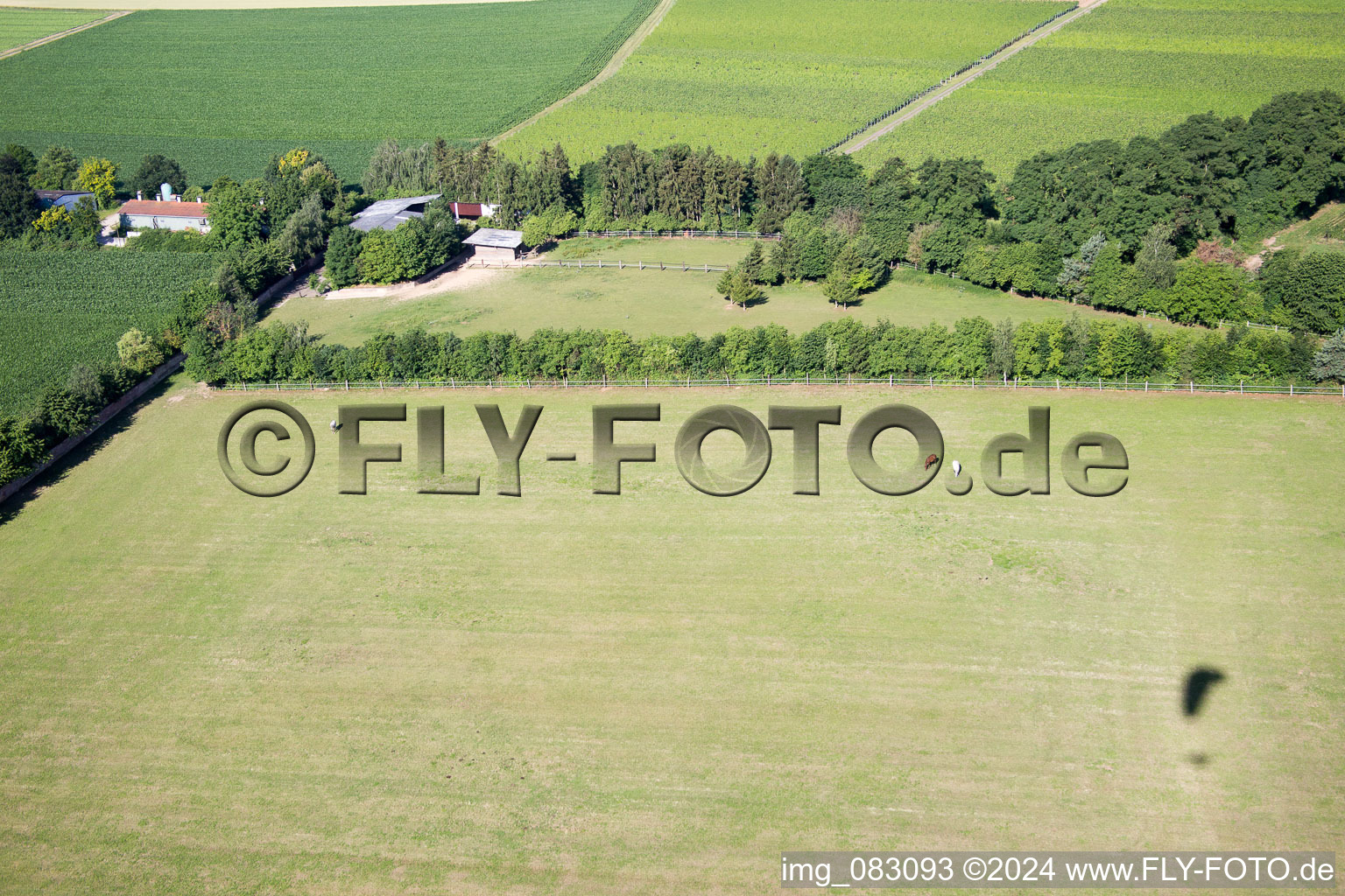 Bird's eye view of Minfeld in the state Rhineland-Palatinate, Germany