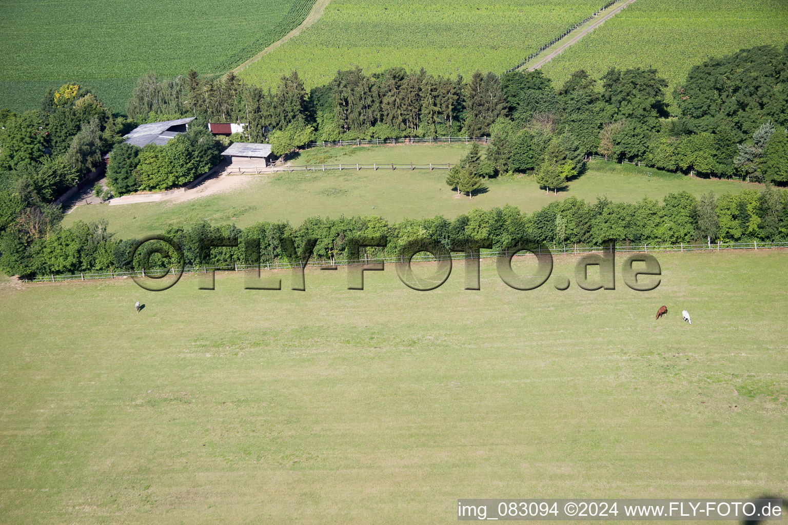 Minfeld in the state Rhineland-Palatinate, Germany viewn from the air