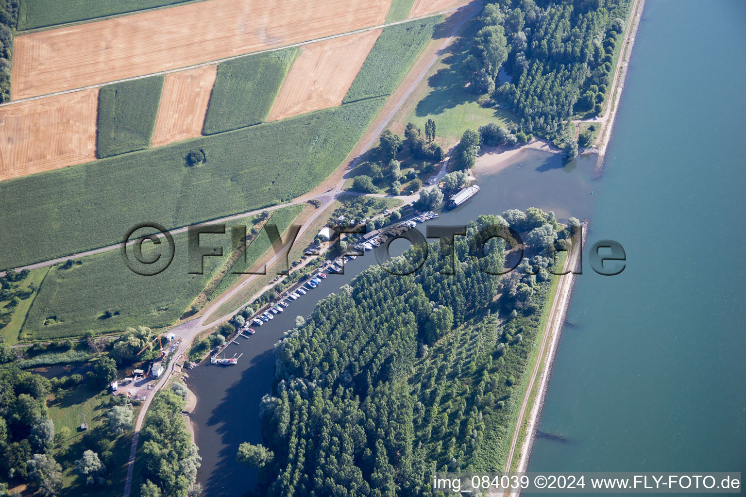 Aerial photograpy of Lauter estuary in the district Neuburg in Neuburg am Rhein in the state Rhineland-Palatinate, Germany