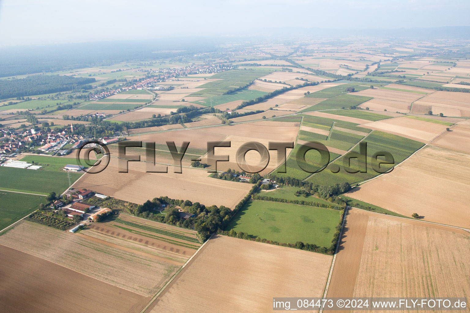 Gallows Hill in Minfeld in the state Rhineland-Palatinate, Germany from above