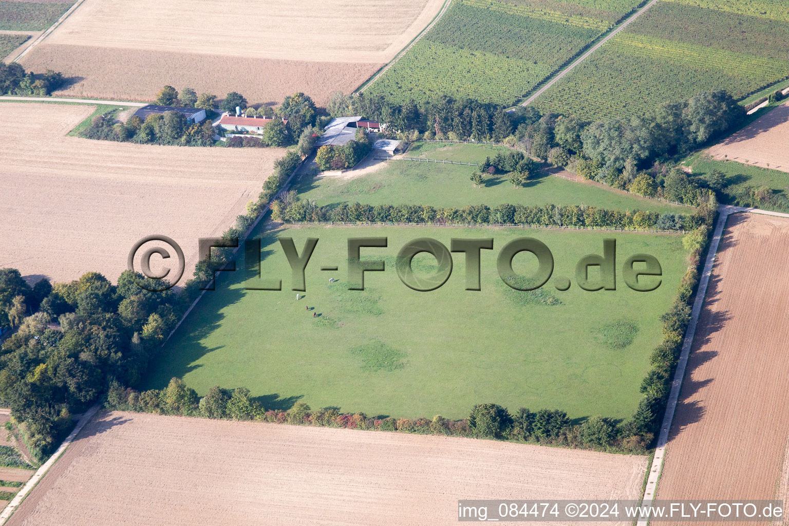 Gallows Hill in Minfeld in the state Rhineland-Palatinate, Germany out of the air