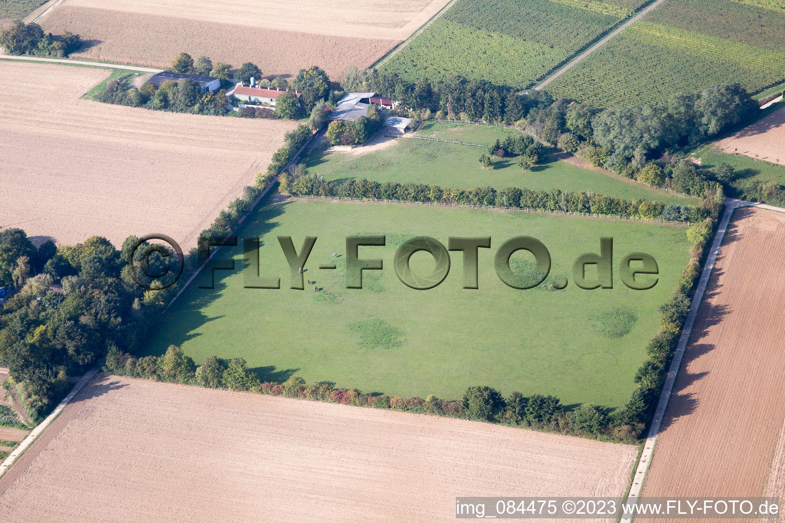 Galgenberg in Minfeld in the state Rhineland-Palatinate, Germany seen from above