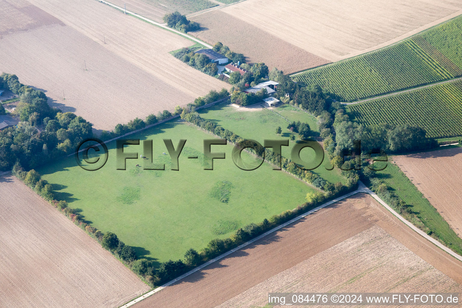 Gallows Hill in Minfeld in the state Rhineland-Palatinate, Germany from the plane