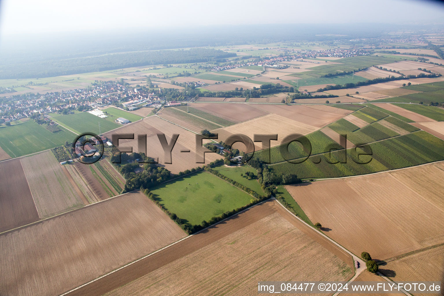 Bird's eye view of Gallows Hill in Minfeld in the state Rhineland-Palatinate, Germany