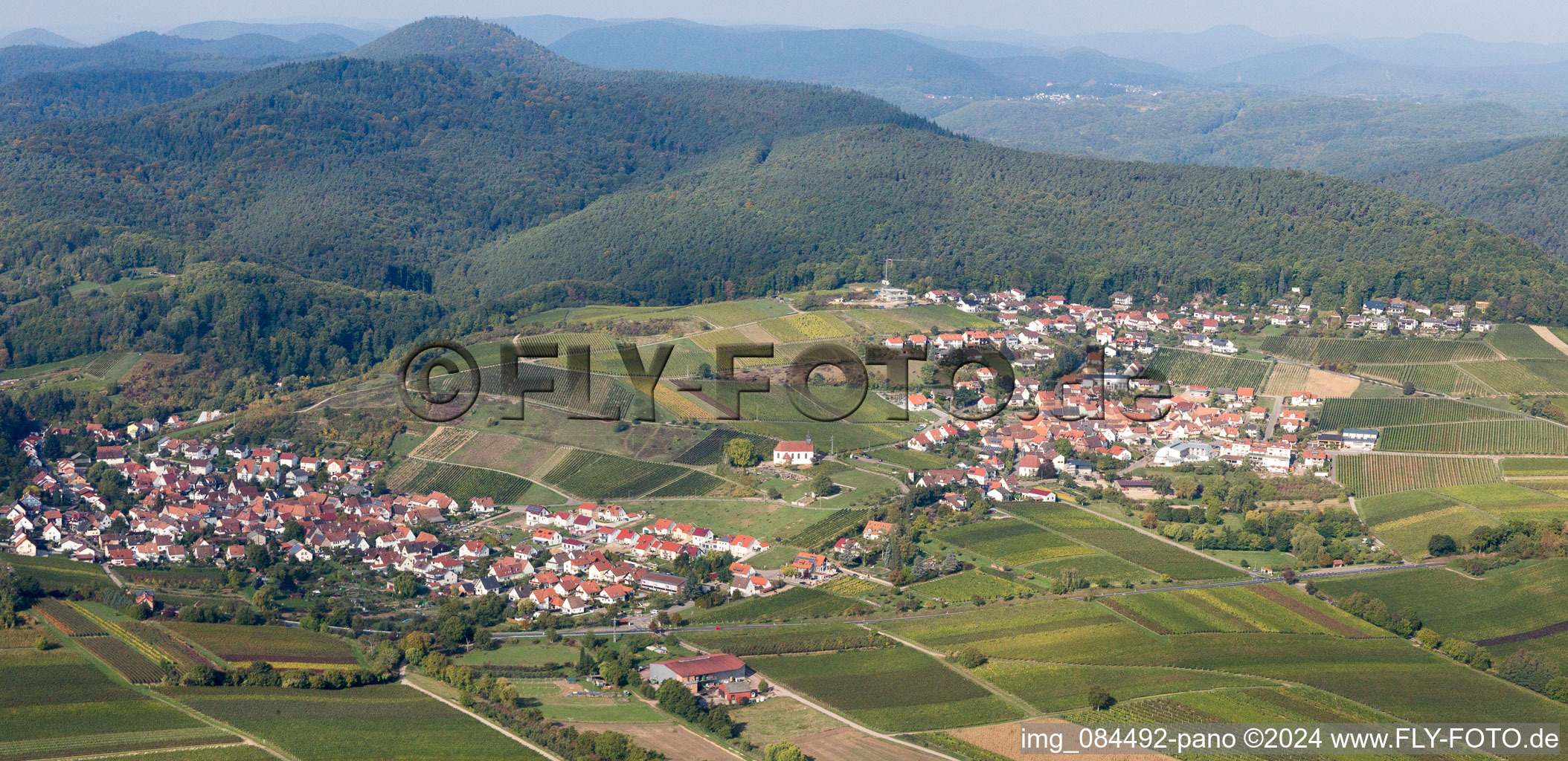 Vineyards and forest in the district Gleiszellen in Gleiszellen-Gleishorbach in the state Rhineland-Palatinate, Germany