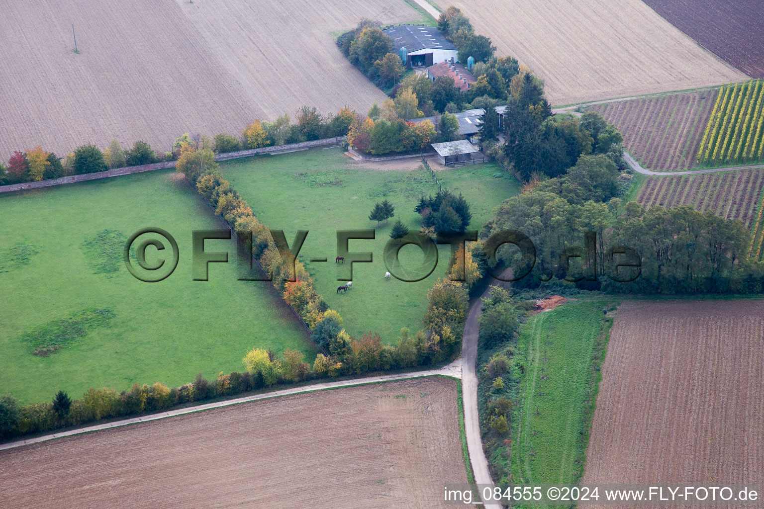 Drone recording of Galgenberg in Minfeld in the state Rhineland-Palatinate, Germany