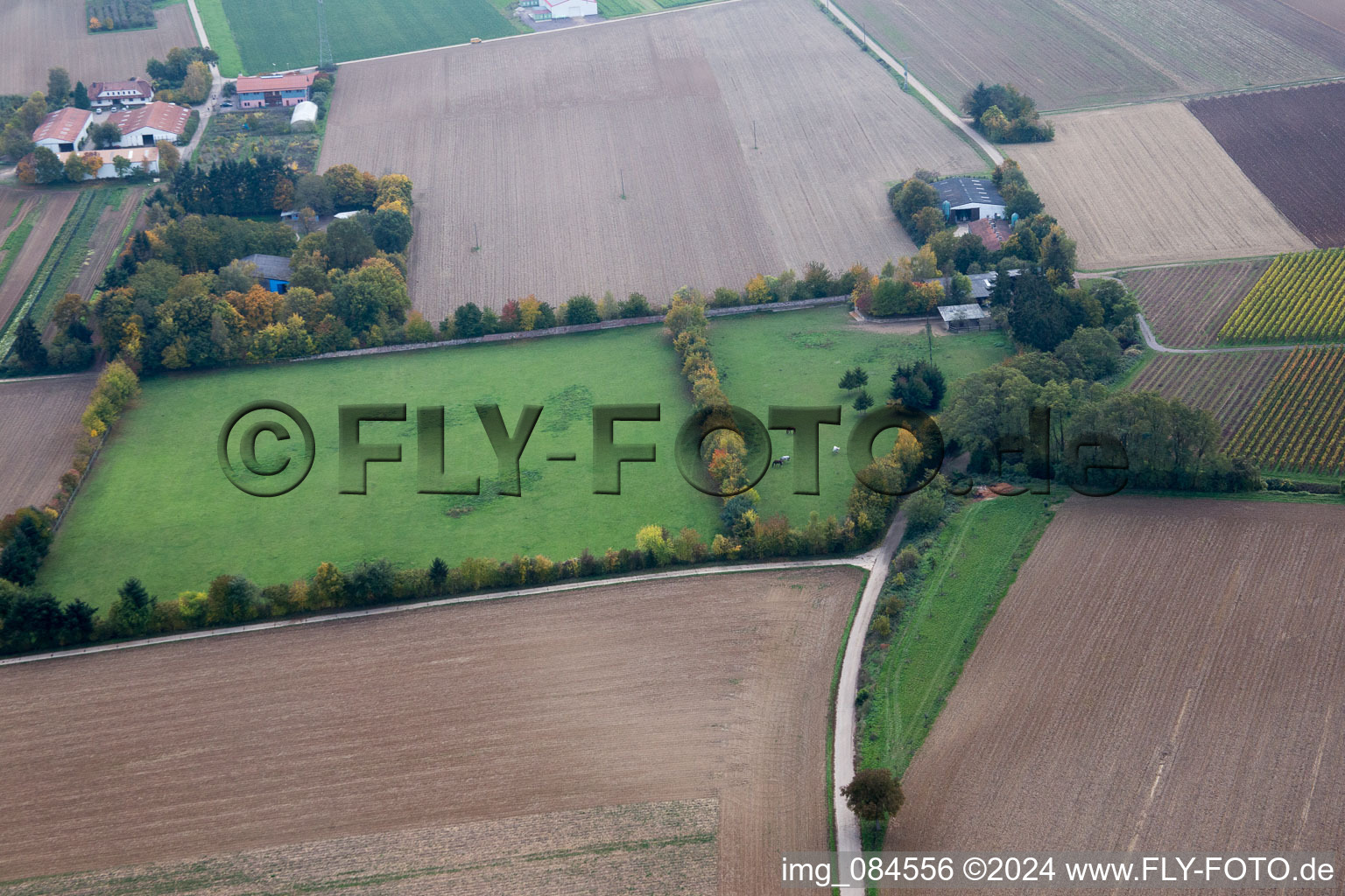 Drone image of Galgenberg in Minfeld in the state Rhineland-Palatinate, Germany