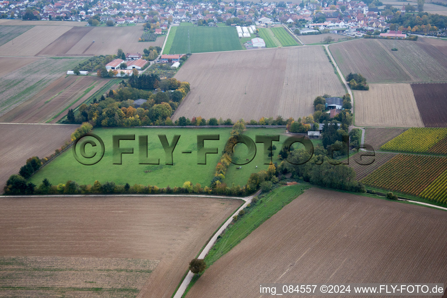 Drone recording of Minfeld in the state Rhineland-Palatinate, Germany