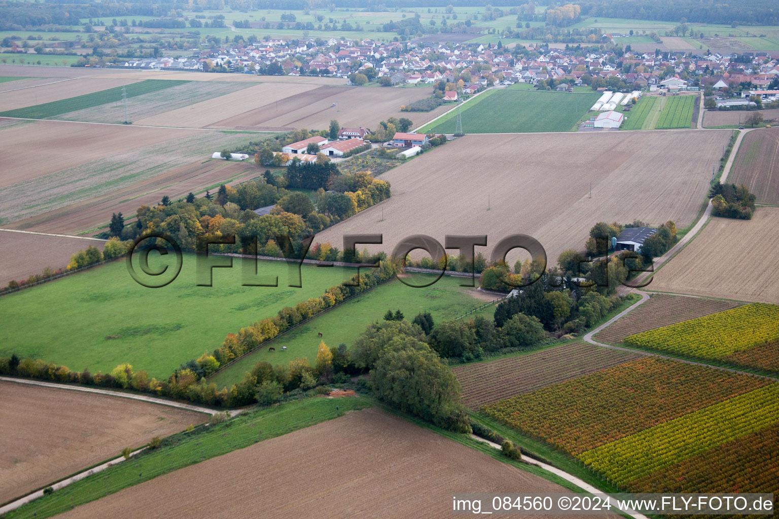 Drone image of Minfeld in the state Rhineland-Palatinate, Germany