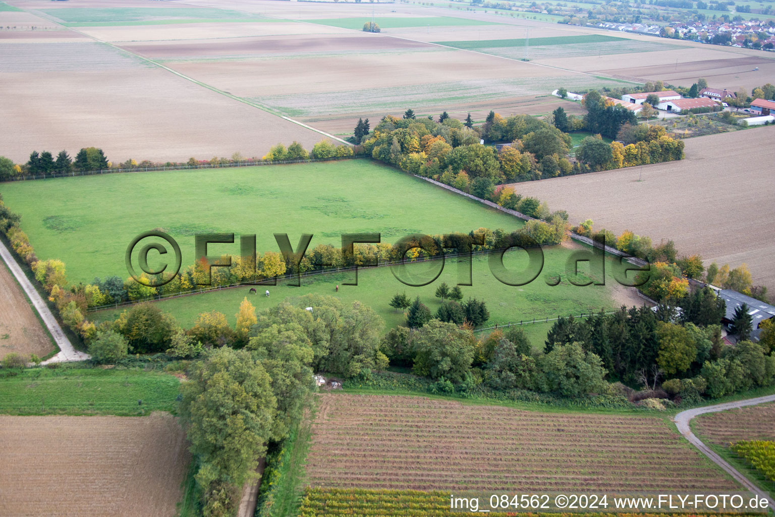 Minfeld in the state Rhineland-Palatinate, Germany from a drone