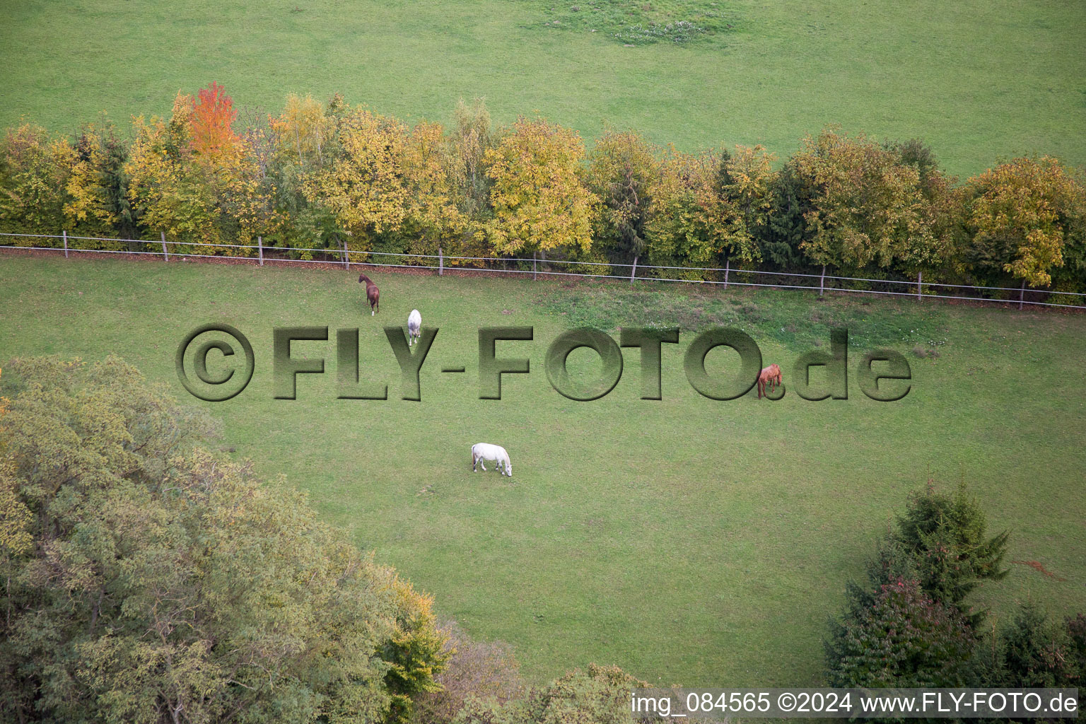 Aerial photograpy of Minfeld in the state Rhineland-Palatinate, Germany