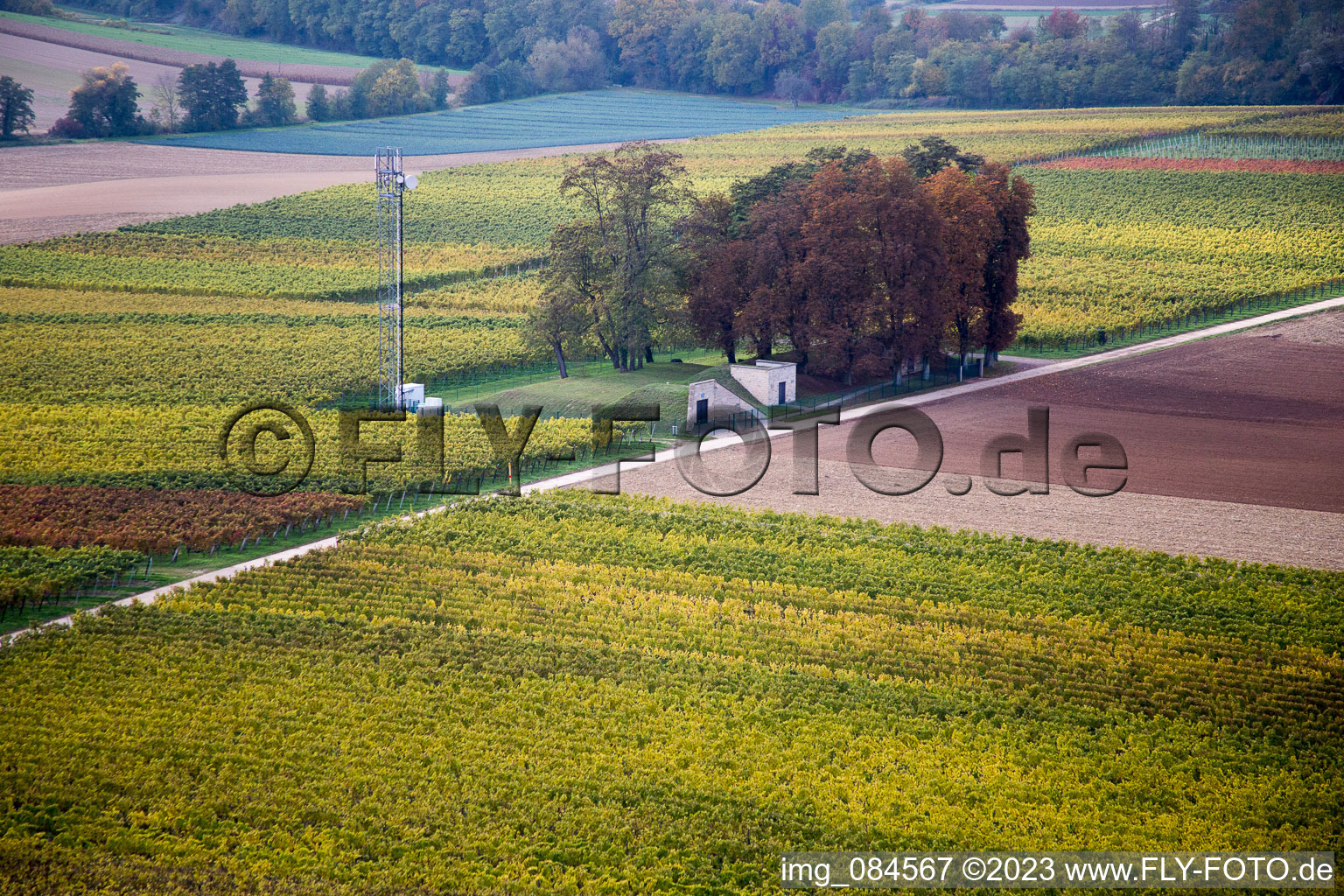 Aerial view of High path in Freckenfeld in the state Rhineland-Palatinate, Germany