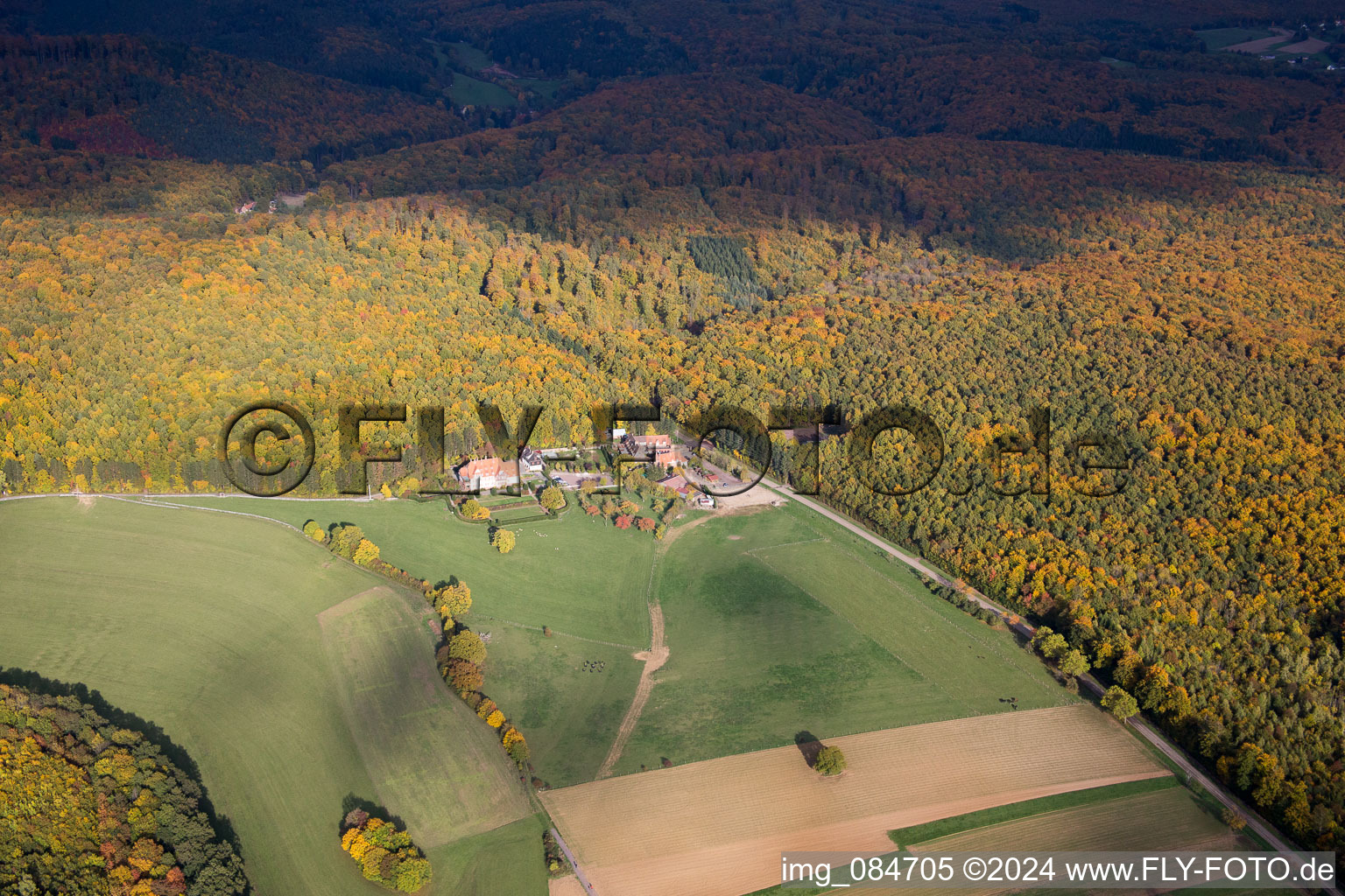 Villa le Riessack in Niederbronn-les-Bains in the state Bas-Rhin, France