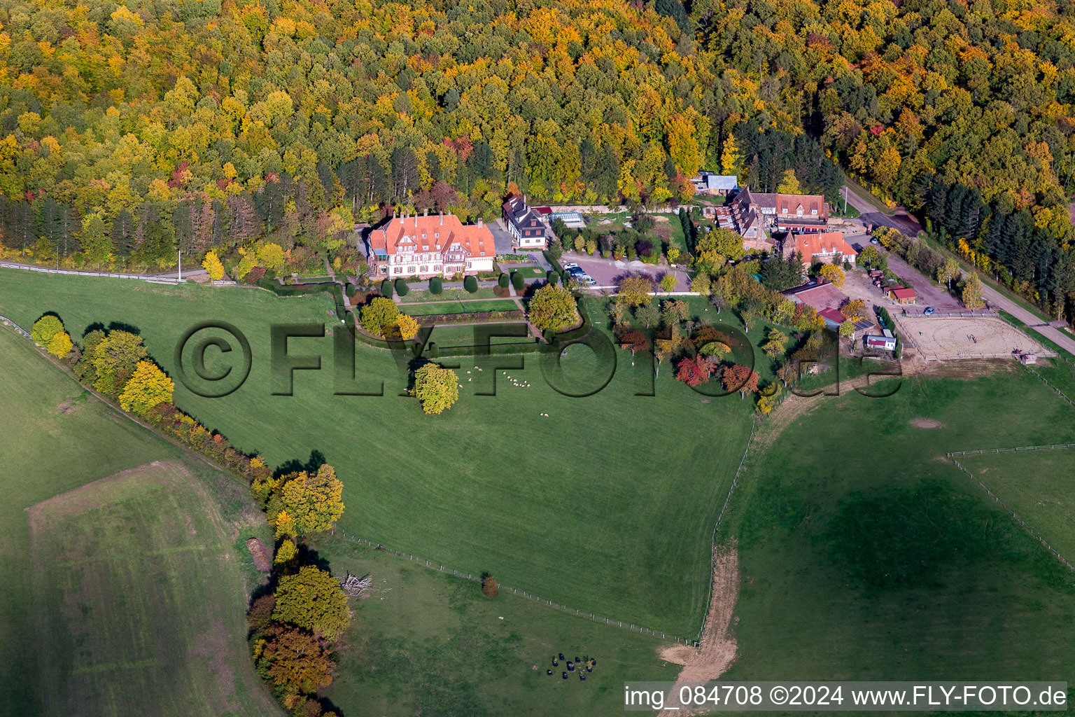 Buildings and parks at the mansion Villa le Riesack and farmhouse Mellon in fall-colours at the forest edge in Niederbronn-les-Bains in Grand Est, France