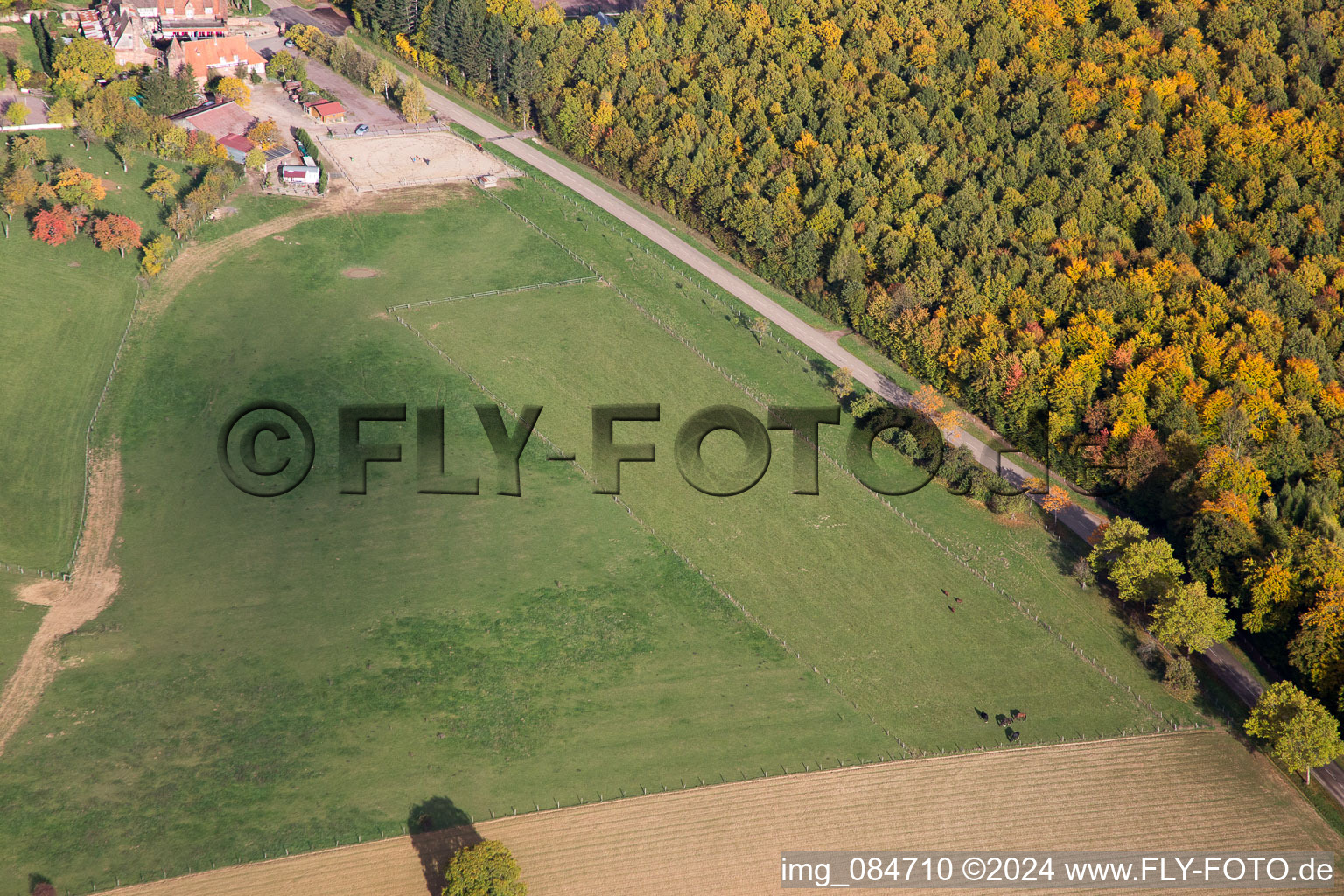 Aerial photograpy of Villa le Riessack in Niederbronn-les-Bains in the state Bas-Rhin, France