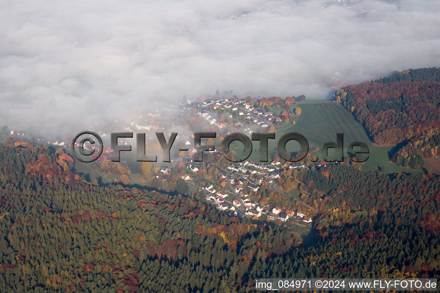 In the morning mist in Erbach in the state Hesse, Germany