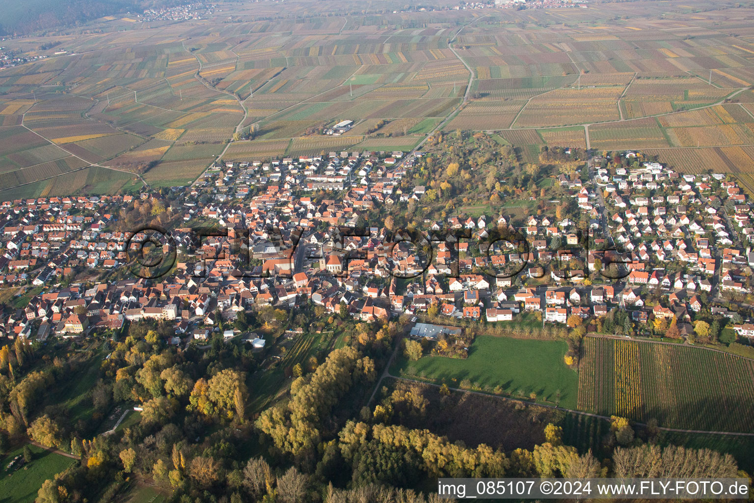 Aerial view of District Godramstein in Landau in der Pfalz in the state Rhineland-Palatinate, Germany