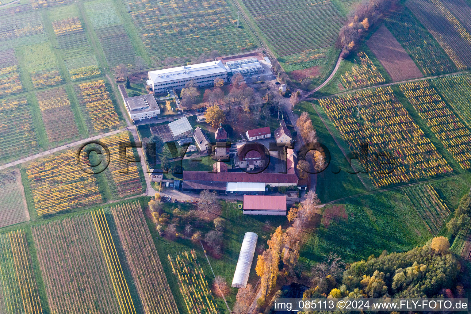 Building complex of the Institute Julius Kuehn Rebforschungsanstalt Geilweilerhof in Siebeldingen in the state Rhineland-Palatinate, Germany