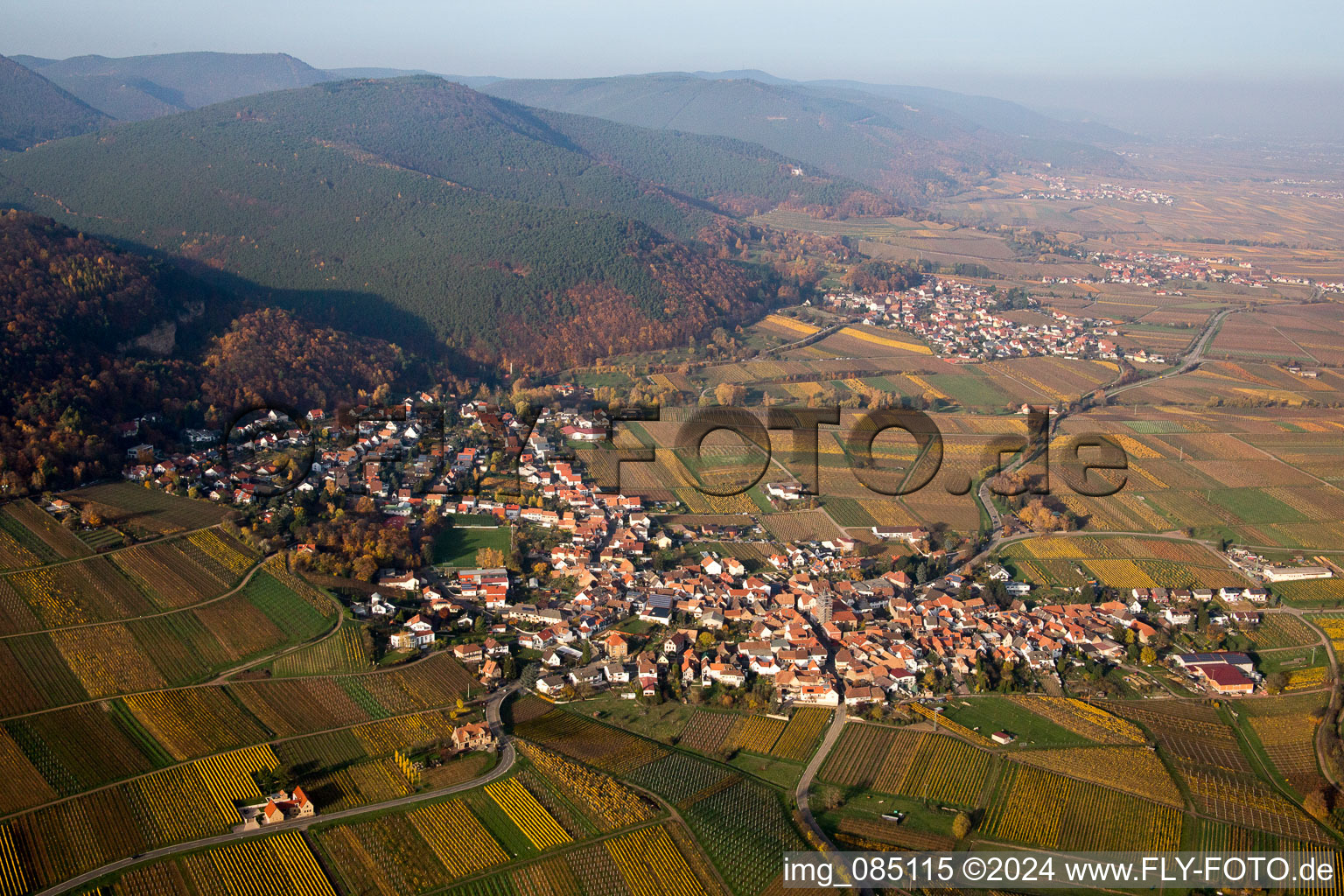 Village - view on the edge of wine yards in Frankweiler in the state Rhineland-Palatinate, Germany