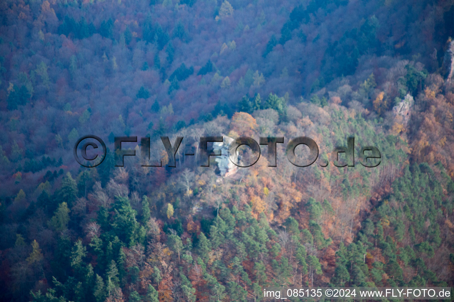 Anebos in Leinsweiler in the state Rhineland-Palatinate, Germany