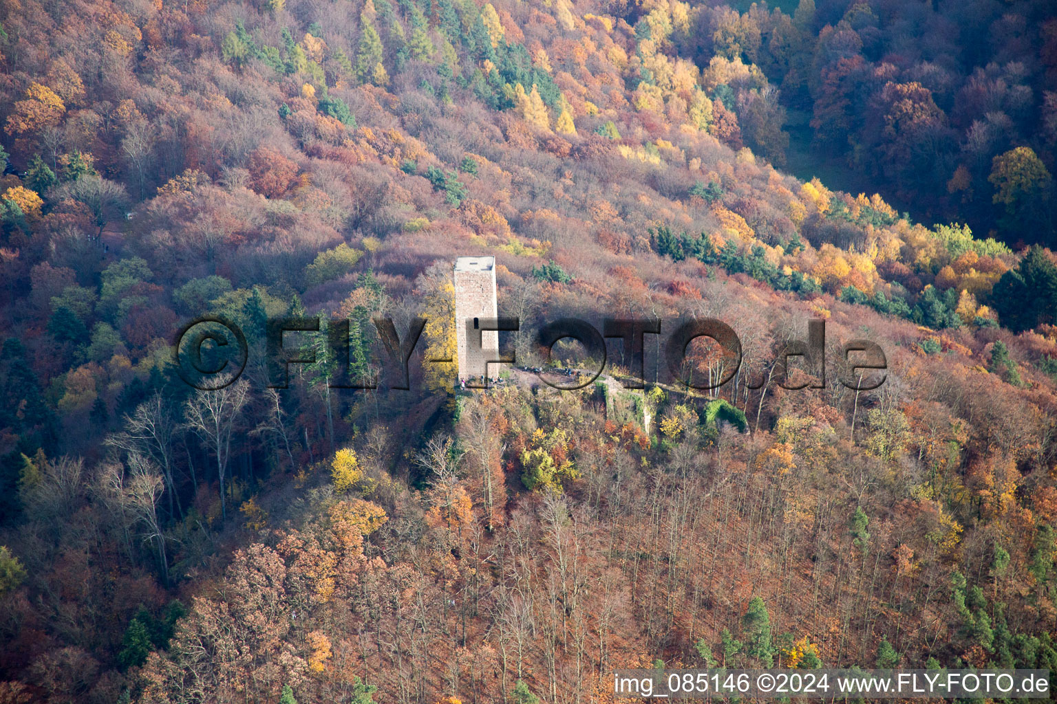 Scharfenberg Castle Ruins, called "Münz in Leinsweiler in the state Rhineland-Palatinate, Germany