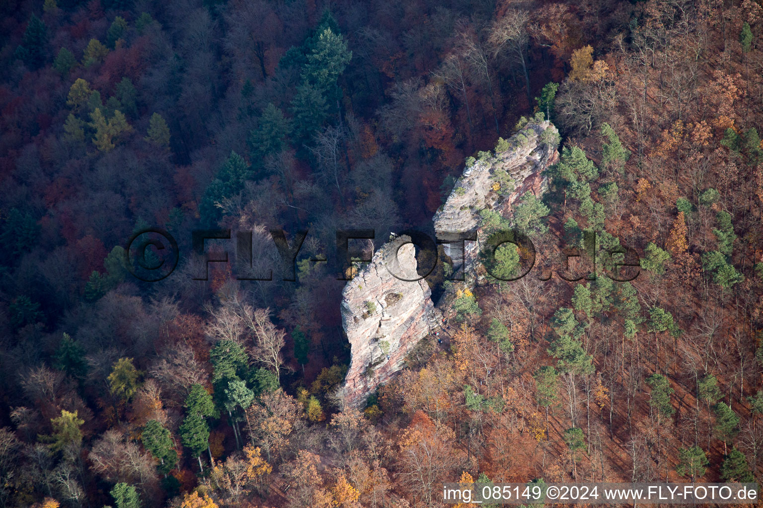 Jungturm Castle Ruins in Leinsweiler in the state Rhineland-Palatinate, Germany