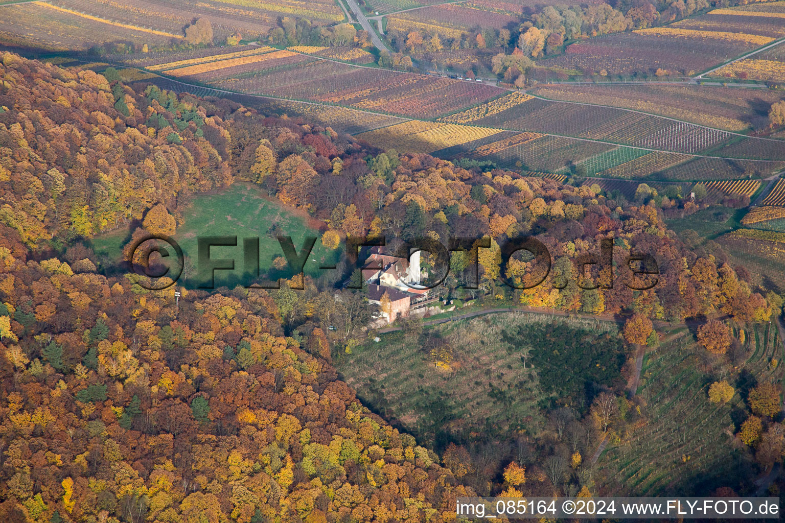 Aerial view of Slevogthof in Leinsweiler in the state Rhineland-Palatinate, Germany