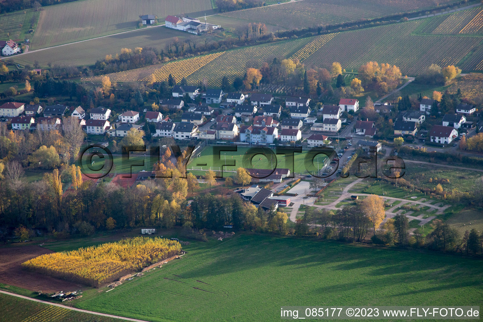 Oblique view of Sports fields in the district Ingenheim in Billigheim-Ingenheim in the state Rhineland-Palatinate, Germany